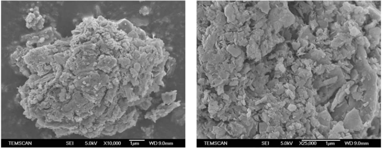 FIG. 3.4 – Micrographies MEB d’une poudre d’oxalate précurseur de CCTO obtenue par coprécipi- coprécipi-tation
