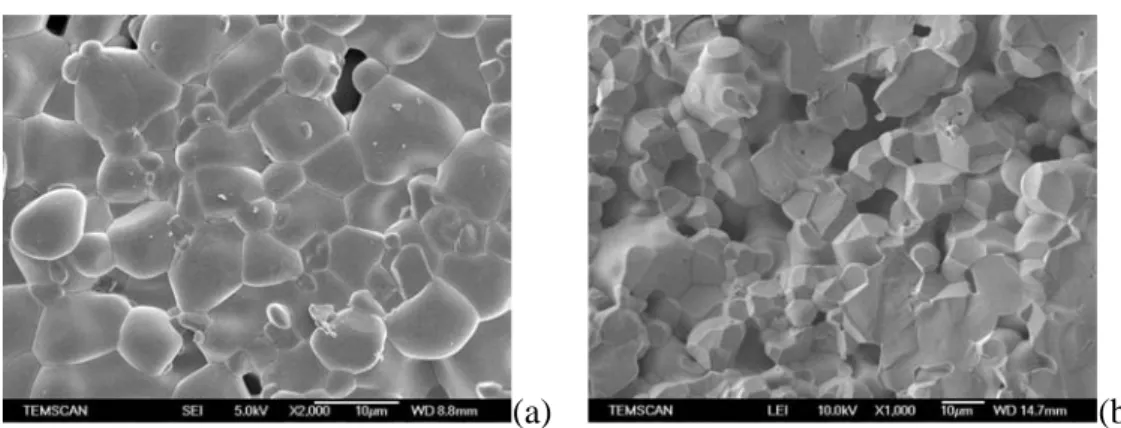 FIG. 3.10 – Micrographie MEB-FEG de céramiques de CCTO après substitution de Ti par (a) 4 % Fe, (b) 4 % Co et (c) 4 % Ni