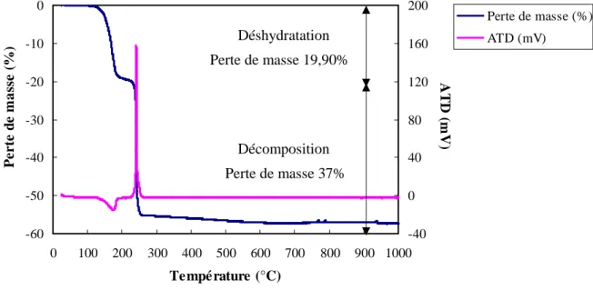 Figure  III-3    Courbes de thermogravimétrie et d’analyse thermique différentielle  du précurseur oxalique Mn 0,49 Co 0,51 C 2 O 4 , nH 2 O 