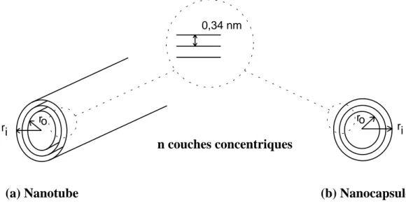 Figure II.4 : Représentation schématique d'un NTC multi-feuillets (a) et d'une nanocapsule à plusieurs parois concentriques.