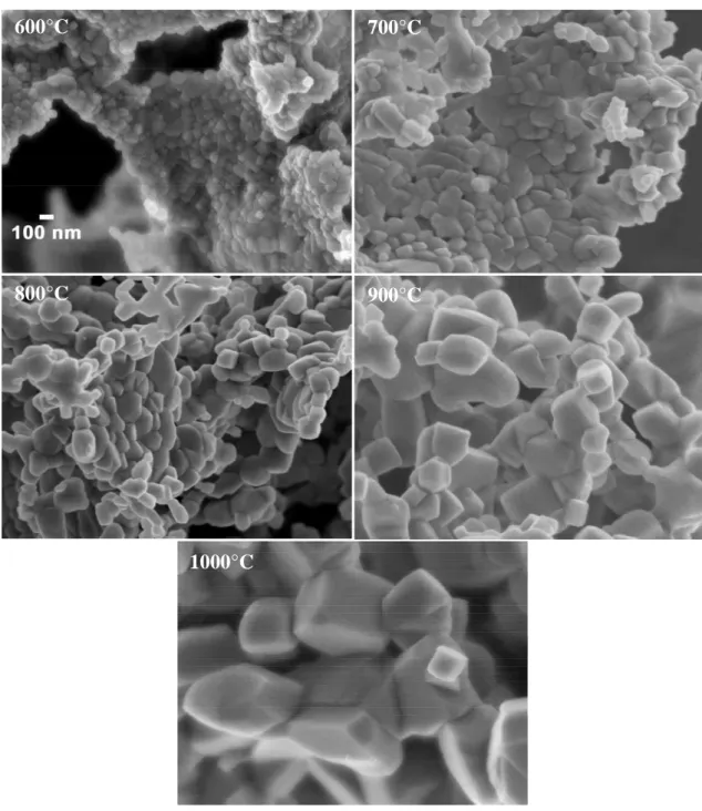 Figure III - 22 : Micrographies obtenues en microscopie électronique à balayage sur des  poudres de NiO calcinées à différentes températures 