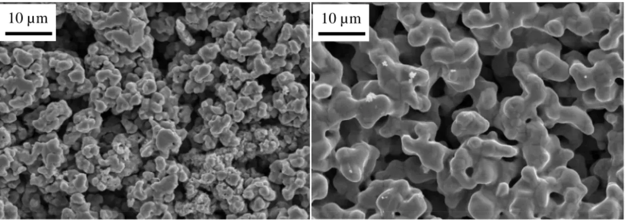 Figure III - 7 : Micrographies MEB d’une pastille de nickel :   a) crue, b) après frittage à 800°C sous hydrogène 