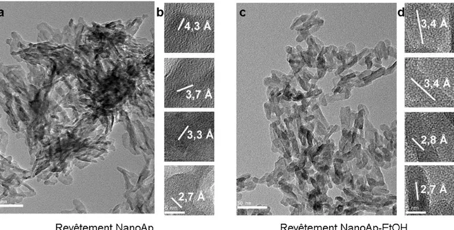 Figure II.3 : Micrographies MET des cristaux NanoAp et NanoAp-EtOH à 480kV (a et c –  barres d’échelle = 50 nm) et 3200 kV (b et d – barres d’échelle = 5 nm)
