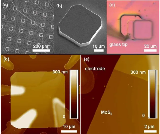 Figure  3.8:  (a)  and  (b)  SEM  micrographs  of  MoS 2   pillars  which  are  squares  of  30  µm  side  and  8  µm  in 