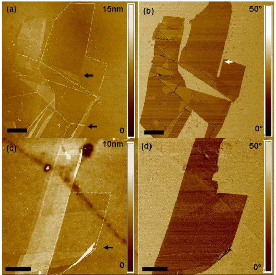 Figure 3.15: (a) and (c) AFM topography images of FLG films where the areas bordered with dotted lines  does not show a step height in the scan (no contrast with the substrate), whereas black arrows mark the  folds indicating the presence of layers