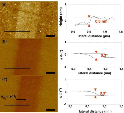 Figure 3.19: (a) Topography image and the line section showing a height of 0.5 nm of the underlayer