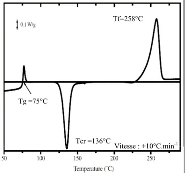 Figure I-5 : thermogramme ACD d'un film PET à une vitesse de montée en température de 10°C.min -1 [Teyssèdre 2001] 