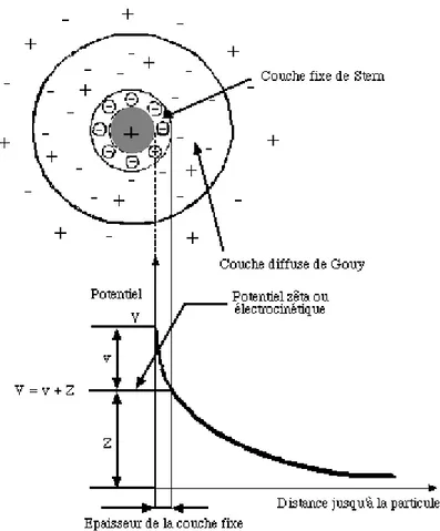 Figure II-2 : Formation des couches de solvatation autour d’une particule chargée  positivement et mesure du potentiel zêta