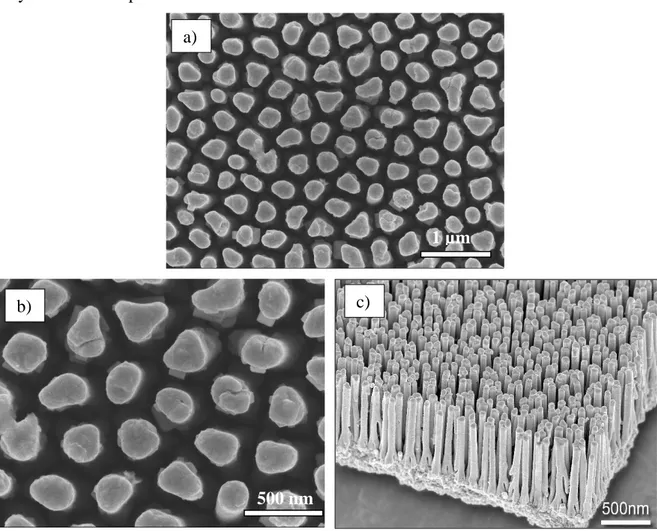 Figure II-5 :Images de microscopie électronique à balayage de la nanostructure de  cuivre nue : a), b) Vues  de dessus, c) Vue en coupe