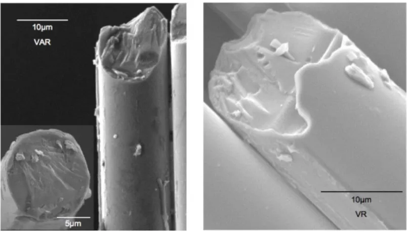 Figure 2.2  Micrographies  MEB des fibres de verre : à gauche fibres de verre AR , à droite fibres  de verre R