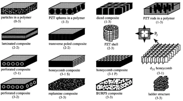 figure I - 7 Connectivité des constituants de composites céramique-polymère extrait de [25] 