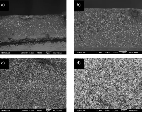 figure II - 4 Microscopie électronique à balayage des composites de PA11/BaTiO 3  700 nm chargés en volume à 