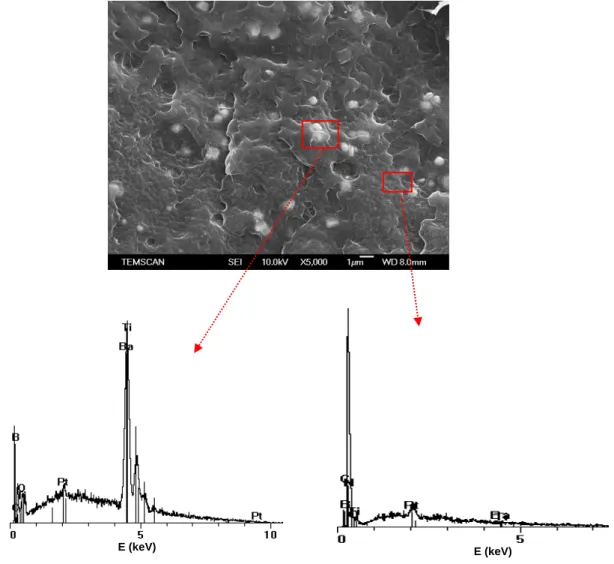figure II - 6 MEB des composites de PA11/BaTiO 3  700nm chargés à 3% (a), et mesures EDX associées aux 