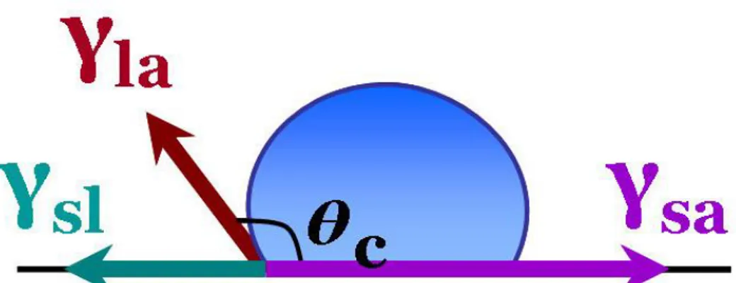 Figure III.1 : Représentation des énergies de surface  au niveau du point triple,    sl  entre le solide et le liquide, 