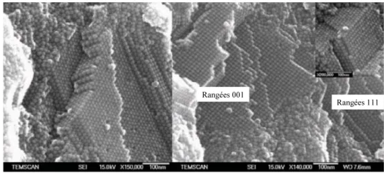 Figure 3-1 : Clichés MEB de l’empilement cubique faces centrées de nanoparticules de Fe/Co  autoorganisées