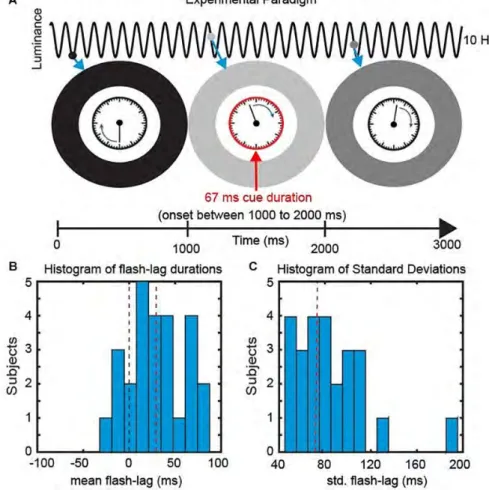 Figure 2. Experimental Paradigm. (A) We presented a clock consisting of a static frame and a rotating clock hand for 3000 ms