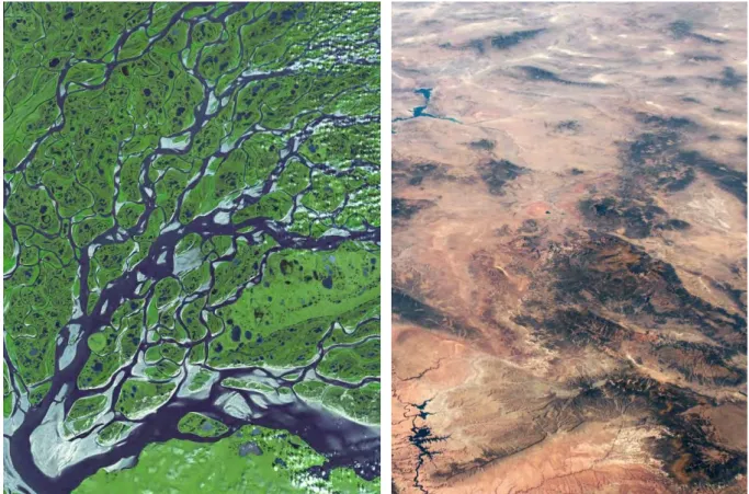 Figure 6.  Topologies of contrasting freshwater (left) and terrestrial environments (right)