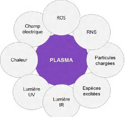 Figure 9 : Les principales composantes physiques et chimiques du plasma. UV : ultraviolet ; IR : infrarouge ; 
