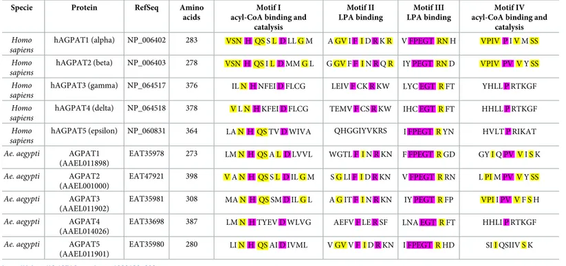 Table 2. Acyltransferase motif comparison between human and Ae. aegypti AGPAT homologues