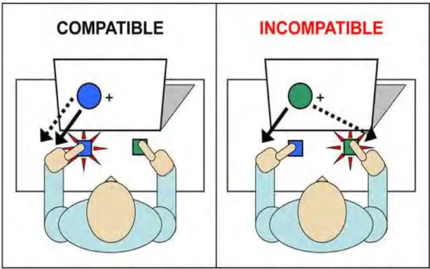 Figure 1. Illustration de l’interférence Stimulus-Réponse au cours de la tâche de Simon