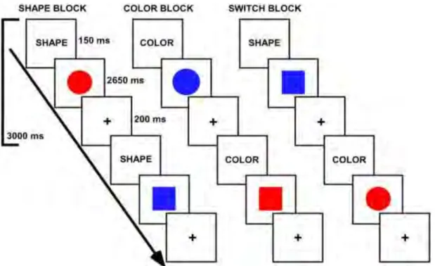 Figure 2. Design expérimental d’une tâche d’alternance où le sujet doit alterner entre deux 