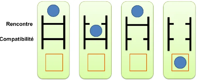 Figure 4 : Représentation schématique des notions de filtres de rencontre et de compatibilité