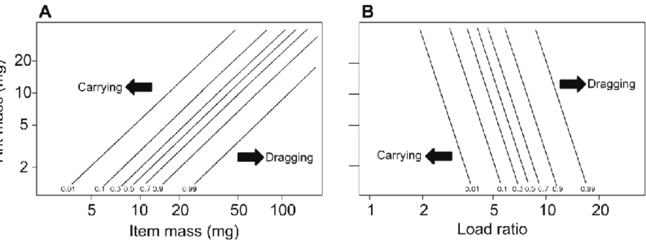 Figure 1.10 : Methode de transport utilisée par M. barbarus en fonction de la masse corporelle de la  fourmi, de la masse de la charge et du LR