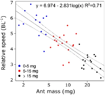 Figure  2.3:  Relative  speed  as  a  function  of  ant  mass  for  unloaded  ants.  The  straight  line  gives  the  prediction  of  a  linear  regression  model  (F 1,43   =115.7,  P&lt;0.001)  and  the  dashed  lines  gives  the  95% 