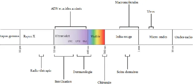 Figure 20 : Représentation du spectre électromagnétique et quelques exemples de domaines  d’application (Gwynne and Gallagher 2018) 