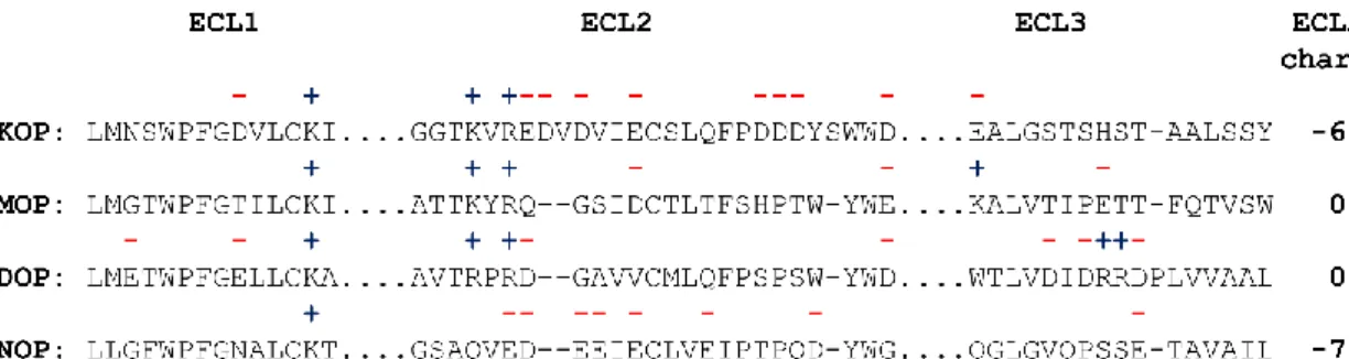 Figure 2: Primary sequences of the extracellular loops of the opioid receptor subtypes, KOP, MOP, 