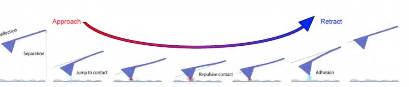 Figure 43 : Schématisation du mouvement de la pointe lors de son approche et de son éloignement de l'échantillon (JPK 