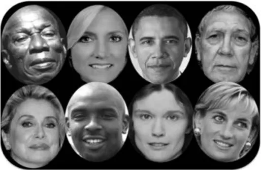 Figure	30.	The	special	case	of	faces.	Stimuli	used	in	experiments	3a,	3b,	4	&amp;	5.	