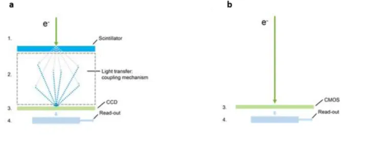 Figure 26. Schéma comparatif des capteurs d’électrons. a) Composants d’une caméra CCD, b) Composants 