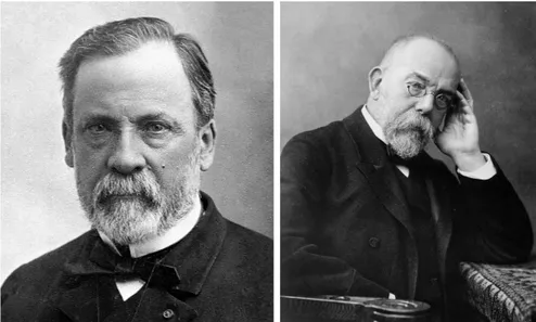 Figure 2 – Louis Pasteur (left) and Robert Koch (right) Photography by Paul Nadar