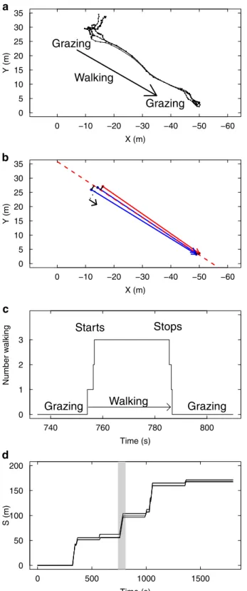 Fig 1. Coordination of motion illustrated in one experimental group of 3 sheep. The position and behaviour of