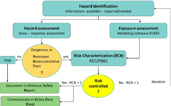 Figure 3.1. Schematic presentation of the four steps in EU ecotoxicological risk assessment:  (1)  Hazard  identification,  (2)  hazard  assessment,  (3)  exposure  assessment  and  (4)  risk  characterization