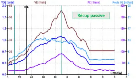 Figure  10:  évolution  du  V̇O 2   (L/min -1 ),  du  V̇ E   (L/min -1 ), de la FC (bpm) et du pouls d’O 2   (ml/batt -1 ) au cours d’une 