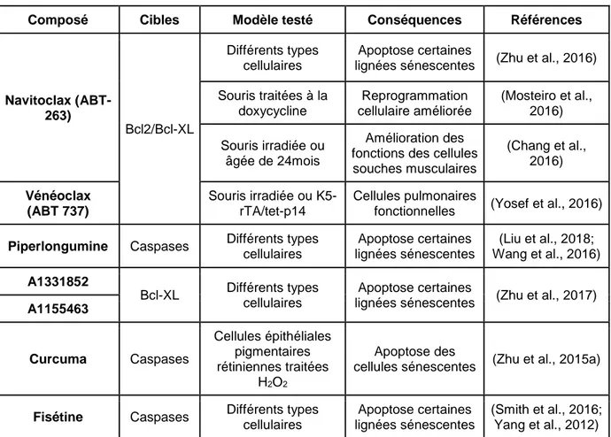 Tableau 5 Les sénolytiques : activateurs d'apoptose de cellules sénescentes 