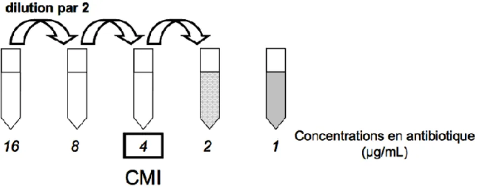 Figure 2 : Détermination de la CMI. Les zones grisées correspondent à une croissance bactérienne visible à l’œil nu