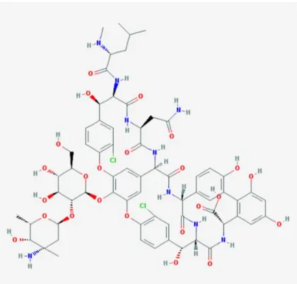 Figure 11 : molécule de vancomycine 