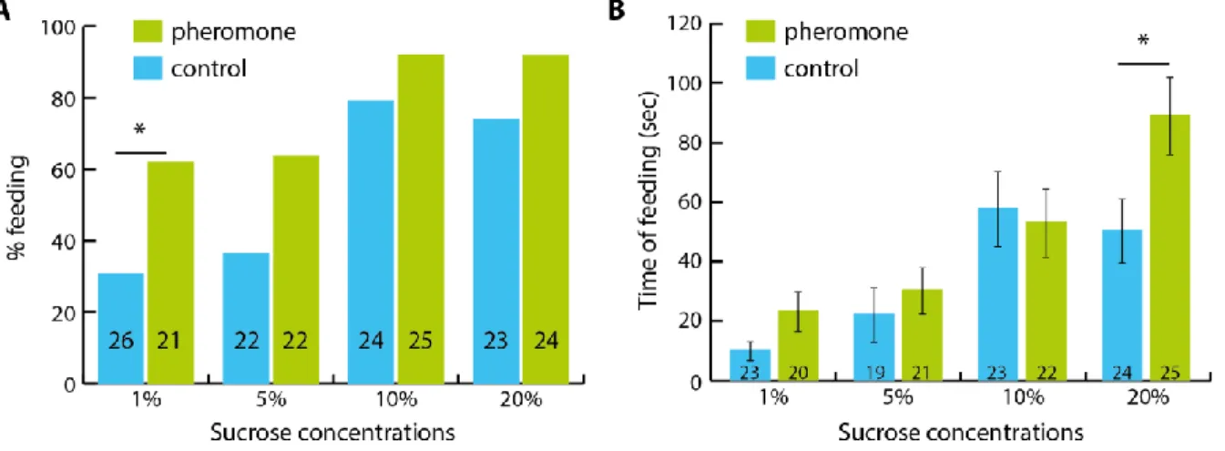 Figure  2.  Effect  of  pheromone  exposure  on  feeding  responses  to  four  sucrose  concentrations
