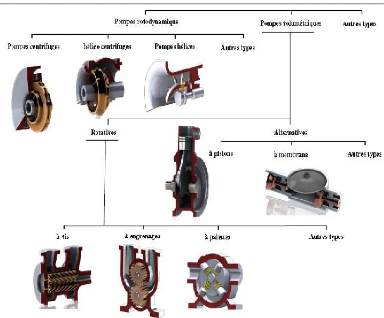 Figure II.7. Différents types des pompes [1]