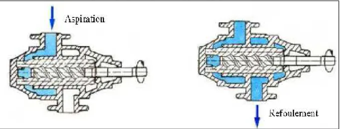 Figure II.11. Pompes à vis