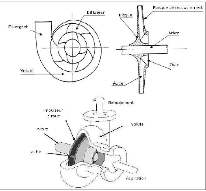 Figure II.13. Schéma d'une pompe centrifuge [5].