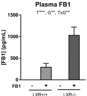 Fig. 3    LXR  controls  the  plasma  FB1  concentration.  Plasma  levels  of fumonisin B1 in  LXR +/+  and  LXR −/−  mice