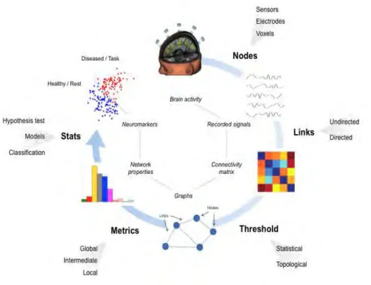 Figure 1.3.6. The processing pipeline for functional graph analysis.  Reproduced from Fallani et al