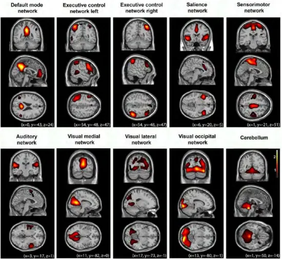 Figure 1.4.1. Multiple cerebral networks that can be identified with ICA applied on rs-fMRI