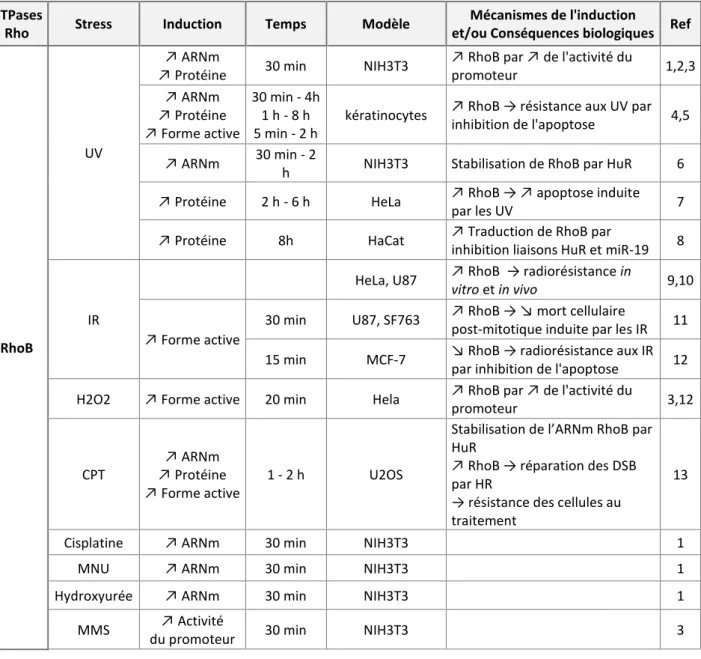 Tableau   2 :  Mécanismes  et  effets  biologiques  médiés  par  les  GTPases  Rho  suite  à  un  dommage (stress génotoxiques et hypoxie) 