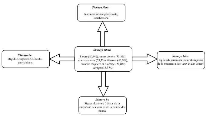 Figure 6: Différents types de sumaya et symptômes associés, énumérés par les TH 