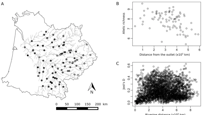 Figure  I-3:  Characteristics  of  genetic  data.  A,  Location  of  the  83  sites,  colored  according  to  their  allelic richness